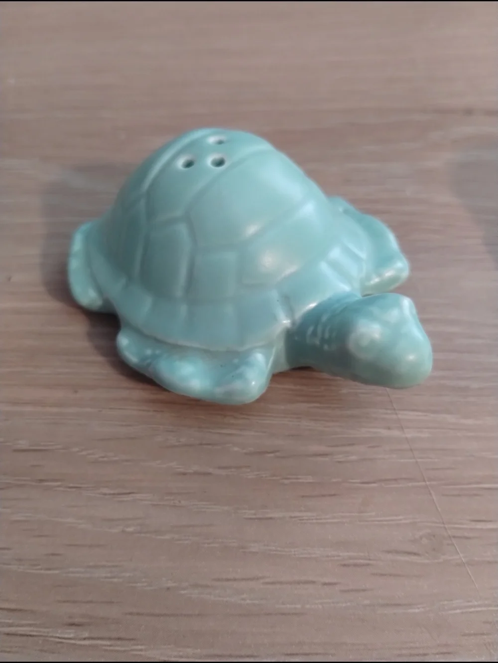 Ceramic Turtle Salt and Pepper Shaker Set - Aqua